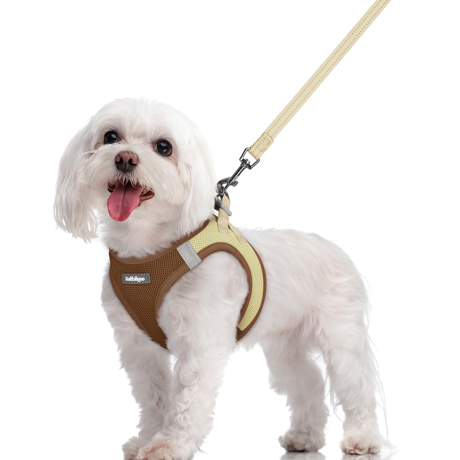 rabbitgoo Dog Harness Small Dog and Leash Set, Step-in Soft Mesh Puppy Harness with Reflective Strips, Lightweight Breathable Pet Vest for Walking Training, Brown & Beige, M