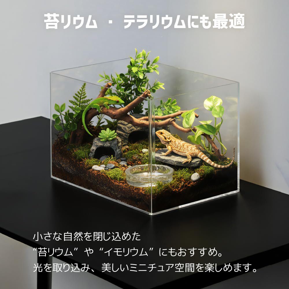 Amazon | SemiSta 爬虫類 ケージ アクリル 幅45cm 飼育ケース
