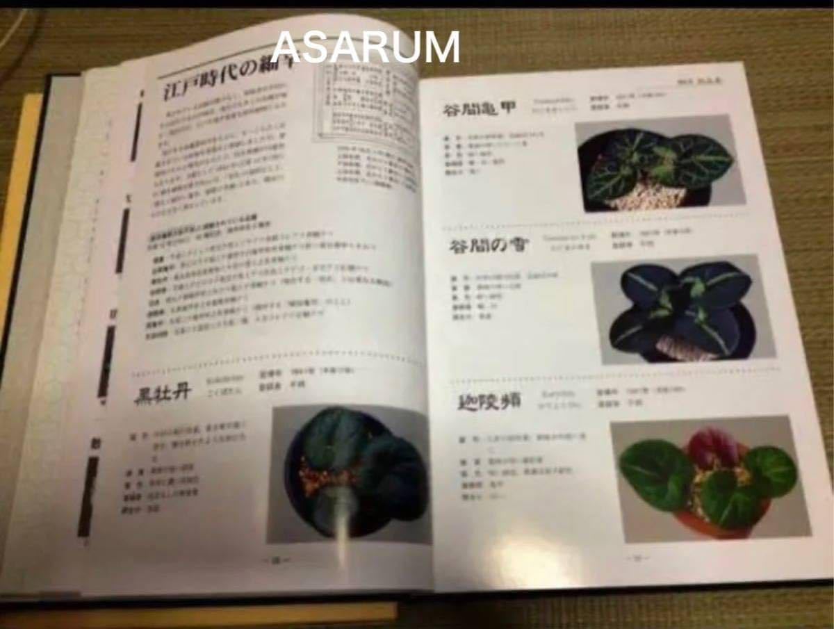Amazon.co.jp: 細辛 寒葵 山野草 カンアオイ ギフチョウ 図鑑細辛寒葵