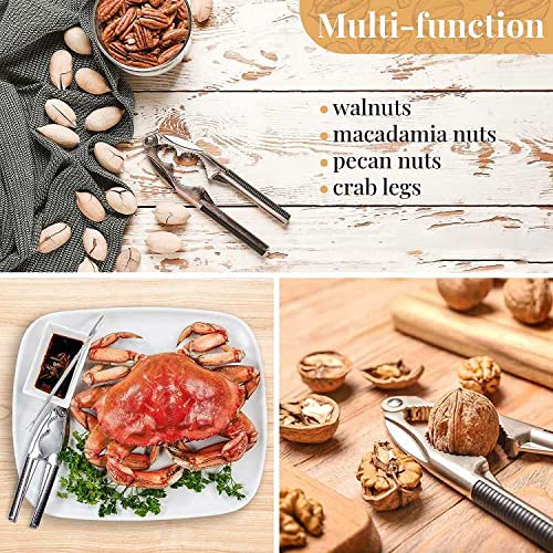 Schiaccianoci, Schiaccianoci in acciaio inox,Noce