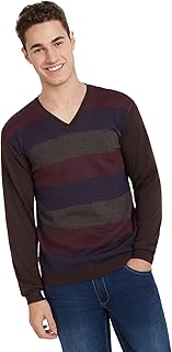 park avenue Men's Regular Fit Acrylic Wool Blend Full Sleeve V Neck Stripe Pattern Dark Brown Casual Sweater-picture-41