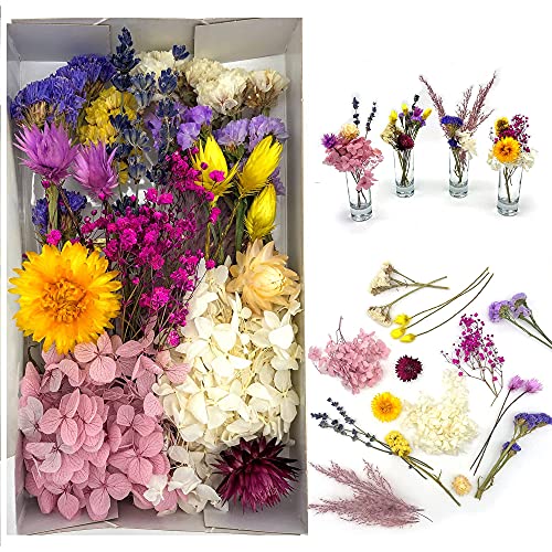 DIY Getrocknete Blumen für kleine Blumensträuße in frohen Farben: zum Basteln und als Wohndeko (Mehrfarbig) Cover