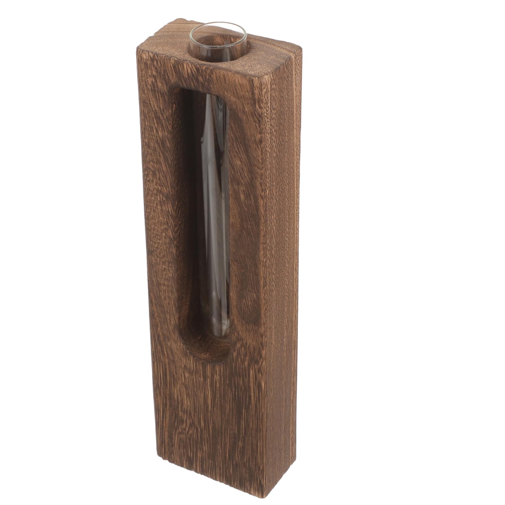 Vase de propagation avec support en bois station hydroponique de bureau