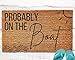 Probably on The Boat Door Mat, Lake House Doormat, Nautical Doormat, Summer Doormat, Beach House Doormat,Lake House Decor,Boat House Doormat 16x24 Inch