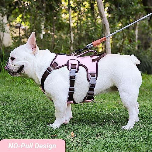 LiebeDD Hundegeschirr für Kleine Mittelgroße Hunde Welpen Geschirr, Anti Zug Geschirr Hund Sicherheitsgeschirr Ausbruchsicher, Panikgeschirr für Hunde Zuggeschirr Hund, Rosa, S