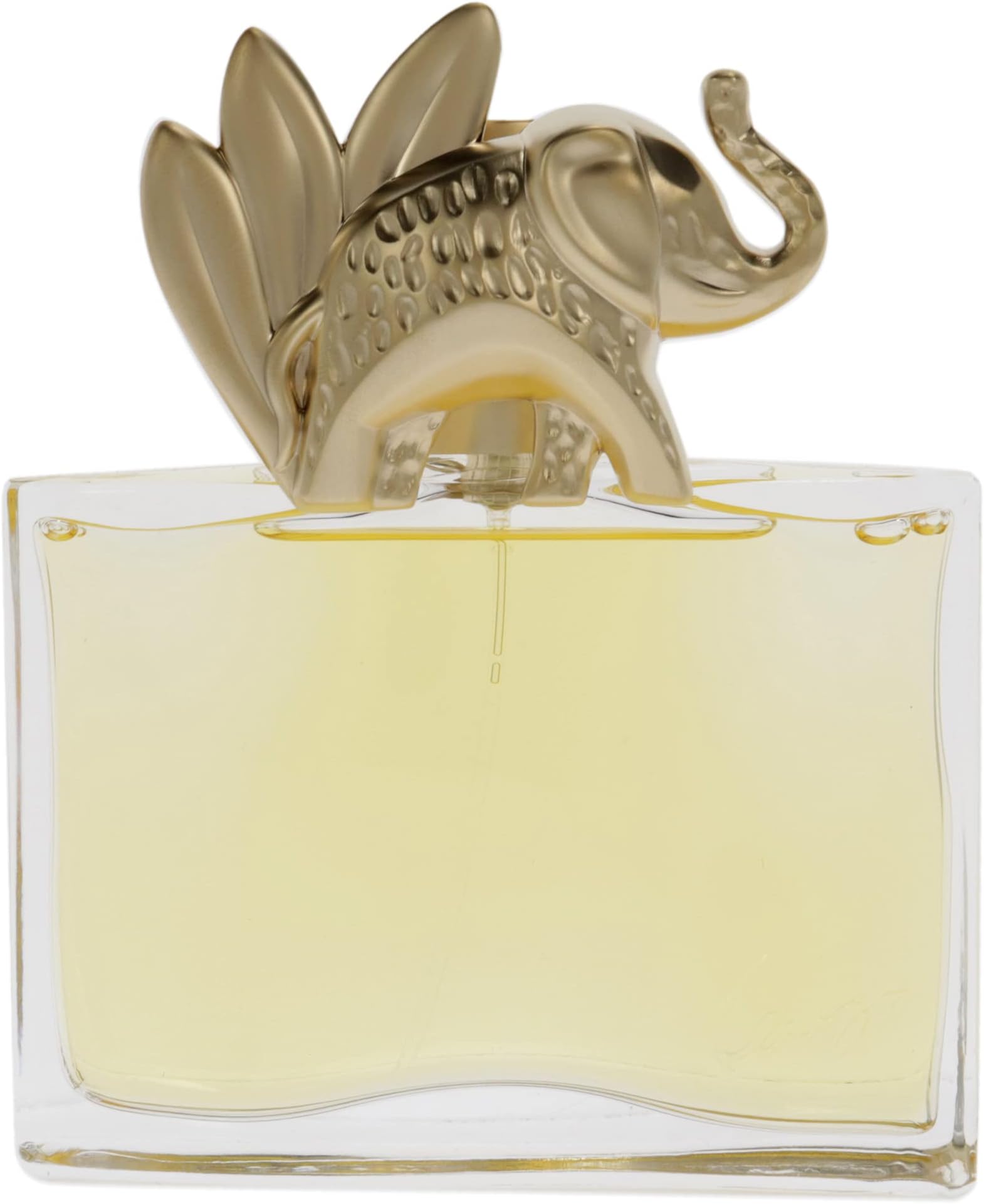 Jungle L Elephant Eau De Parfum Spray 3.4 Oz/ 100 Ml for Women By 3.4 Fl Oz