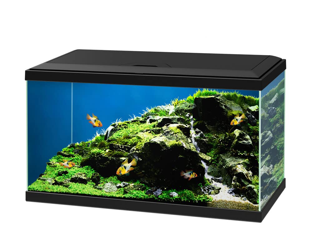 Ciano Acuario Aqua 60 Plus Led Negro 60X30X37,2Cm 65L.
