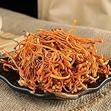Cordyceps Flower Plum Flower Cordyceps Cordyceps Dried Flowers Cordyceps Mushroom Militaris/Chong Cao Hua/Cordyceps Herbal (500grams)