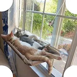 CAMINHA DE JANELA PARA GATOS SUSPENSA com ventosas SACADA CAMA pet cat 55X32 DIVERTIDO E CONFORTÁVEL