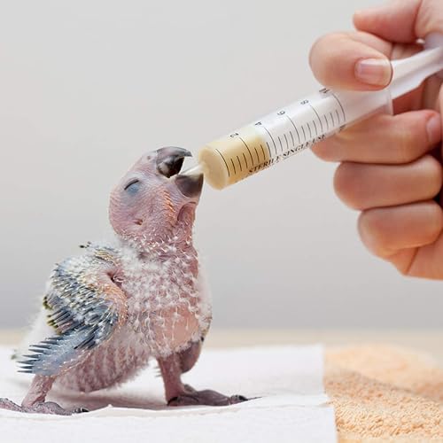 Miniatura 4 de Jeringa desechable Luer Slip de 0.7 fl oz sin aguja para rellenar, medir líquidos, aceite o aplicador de pegamento