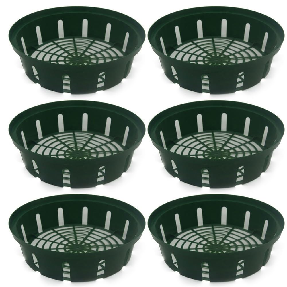 FUANA 6 Pack Plastic Plant Bulb Baskets, 26x22x6.5cm Green Flower Bulb Cages Garden Planting, Lightweight Mesh Pots Flowers and Vegetables