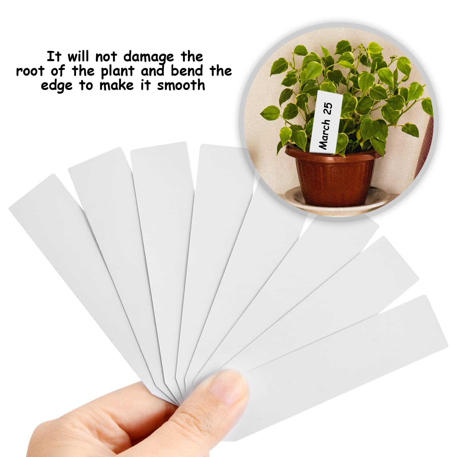 100 Etichette per Piante, Etichette per Semi in PVC