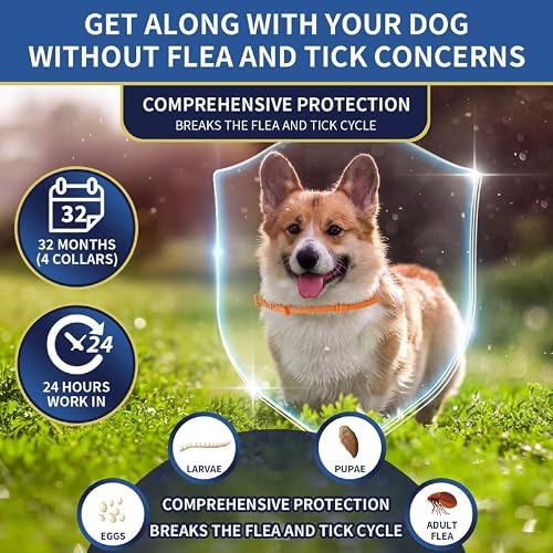 4 Pack Flea Collar for Dogs, 32 Months Flea and Tick Prevention for Dogs, Adjustable Flea and Tick Collar for Dogs Puppies, Waterproof Dog Flea Collar, Natural Dog Flea and Tick Treatment(Pink&Orange) - Thumbnail 3