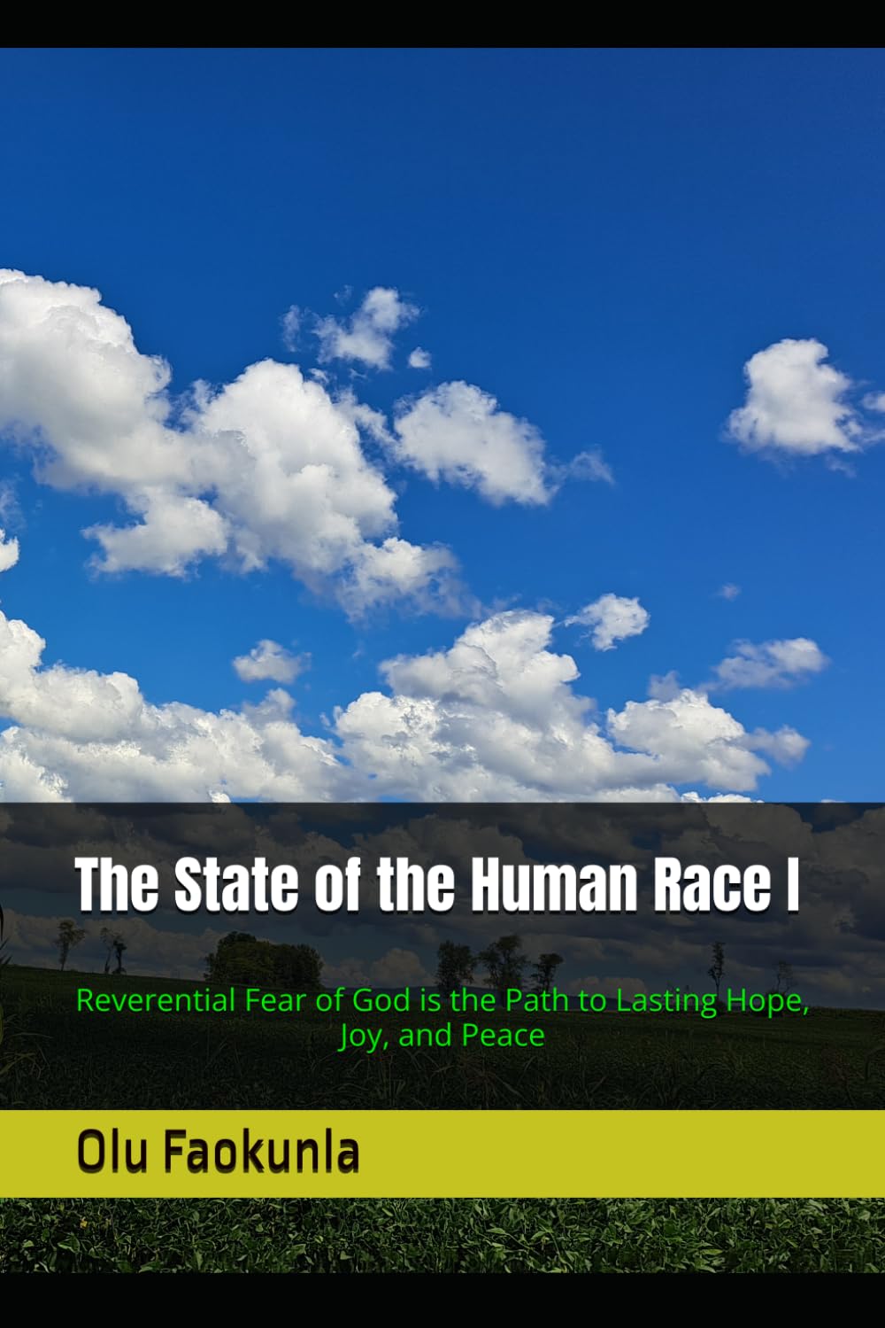 The State of Human Race: Reverential Fear of God is the Path to Lasting Hope, Joy, and Peace: 1