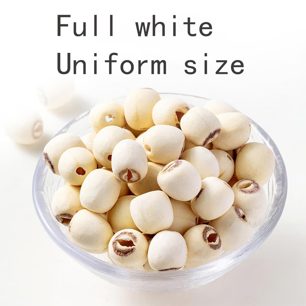 Dried Lotus Seeds 1lb White Lotus Seed without Cores Cooking Porridge and Soup 454g