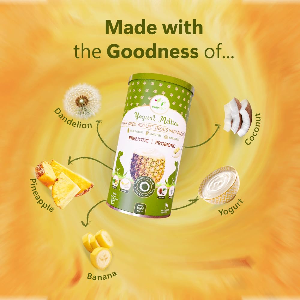 Pawfect Yogurt Melties Freeze Dried Pre and Probiotic Dog Treats with Pineapple, Coconut, Banana, Dandelion, Healthy Gut - Image 4