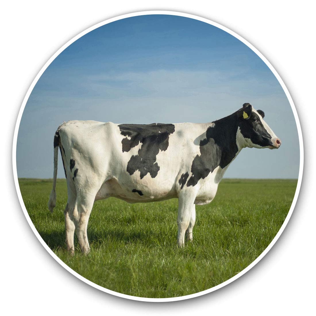 Destination Vinyl Ltd Dairy Cow Cattle Farm Farmer Milk 15895 2 X 30Cmvinyl Stickers - Dairy Cow Cattle Farm Farmer Milk Decals For Car Van Luggage Scrap Book Fridge #15895