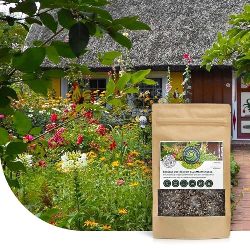 Mélange de fleurs de cottage-garden anglais - 1 kg pour 500 m² - Fleurs sauvages annuelles et vivaces - Attractif pour les insectes utiles - Peu d'entretien
