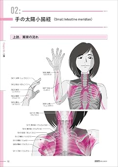 図解 経絡と解剖学