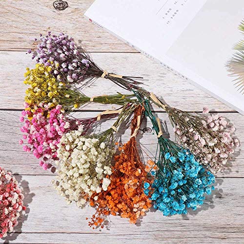 Ramo mini flores secas natural decoración hogar 3 unidades miniatura 4