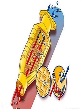 x56 触媒　キャタライザー コンバーター Amazon | Jaguar XF XJ XJ6 XJ8 S-TYPE Xタイプ F-TYPE 触媒