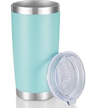 20 oz Tumblers Stainless Steel Tumbler with Lid, 1 Pack