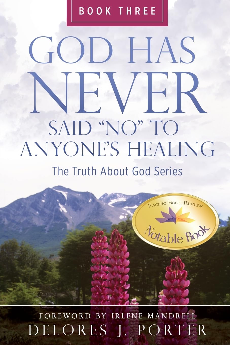 God Has Never Said No to Anyone's Healing: The Truth About God Series - Book Three