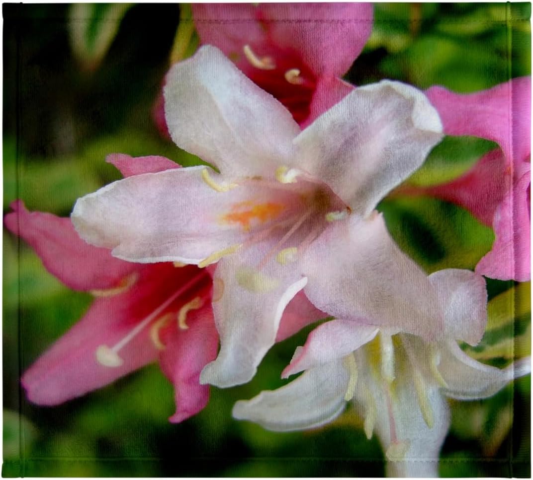 3dRose Lily 22x30 Bath Hand Pool Towel