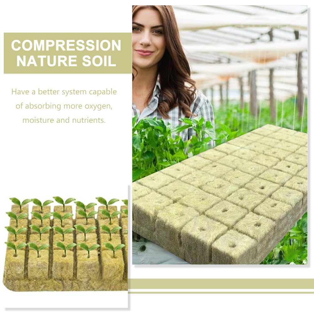 Roccia Cubi di Lana 100pcs Grow Cube Starter in Lana di Roccia Cubetti di avviamento in Lana di Roccia Blocchi di nutrienti (Color : 4X2.5cm)