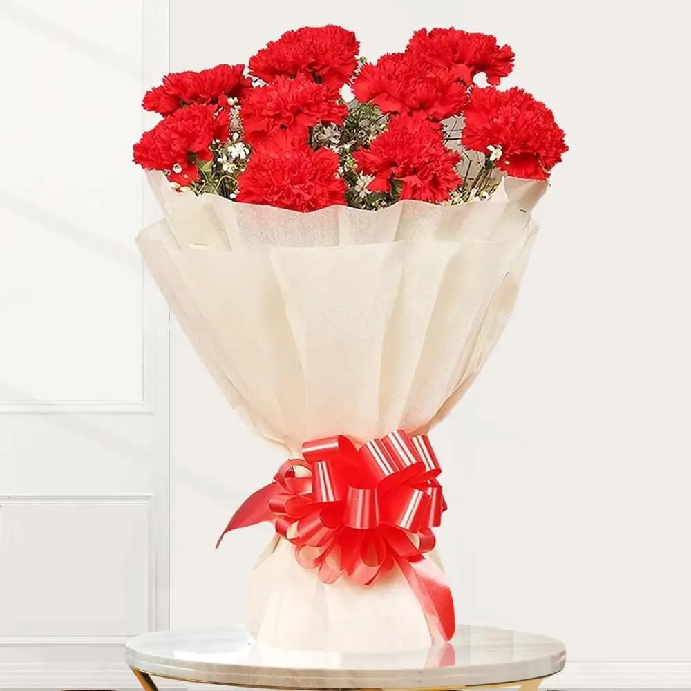 IFG's 10 Red Carnations Bouquet in White Paper Wrap | Send Live Flower on Birthday, Anniversary, Father's Day, Mother's Day, Congratulations & Retirement | Natural Flower Delivery in 4 hrs-image-30