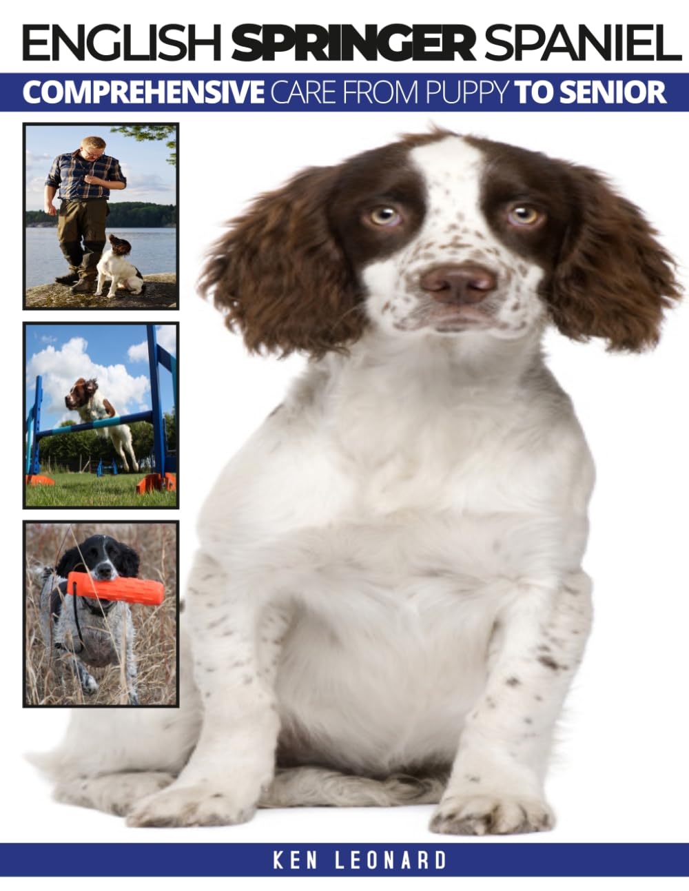 ENGLISH SPRINGER SPANIEL: Comprehensive Care from Puppy to Senior