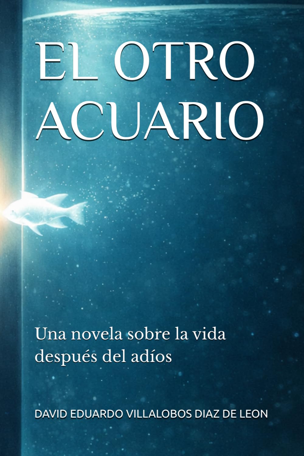 EL OTRO ACUARIO: Una novela sobre la vida después del adíos
