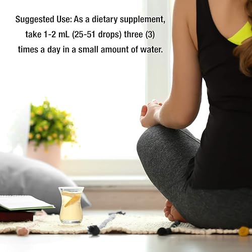 Miniatura 4 de Natures Answer, diente de león, 1 onza líquida