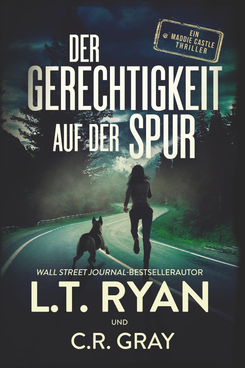 Der Gerechtigkeit auf der Spur (Die Maddie-Castle-Reihe)