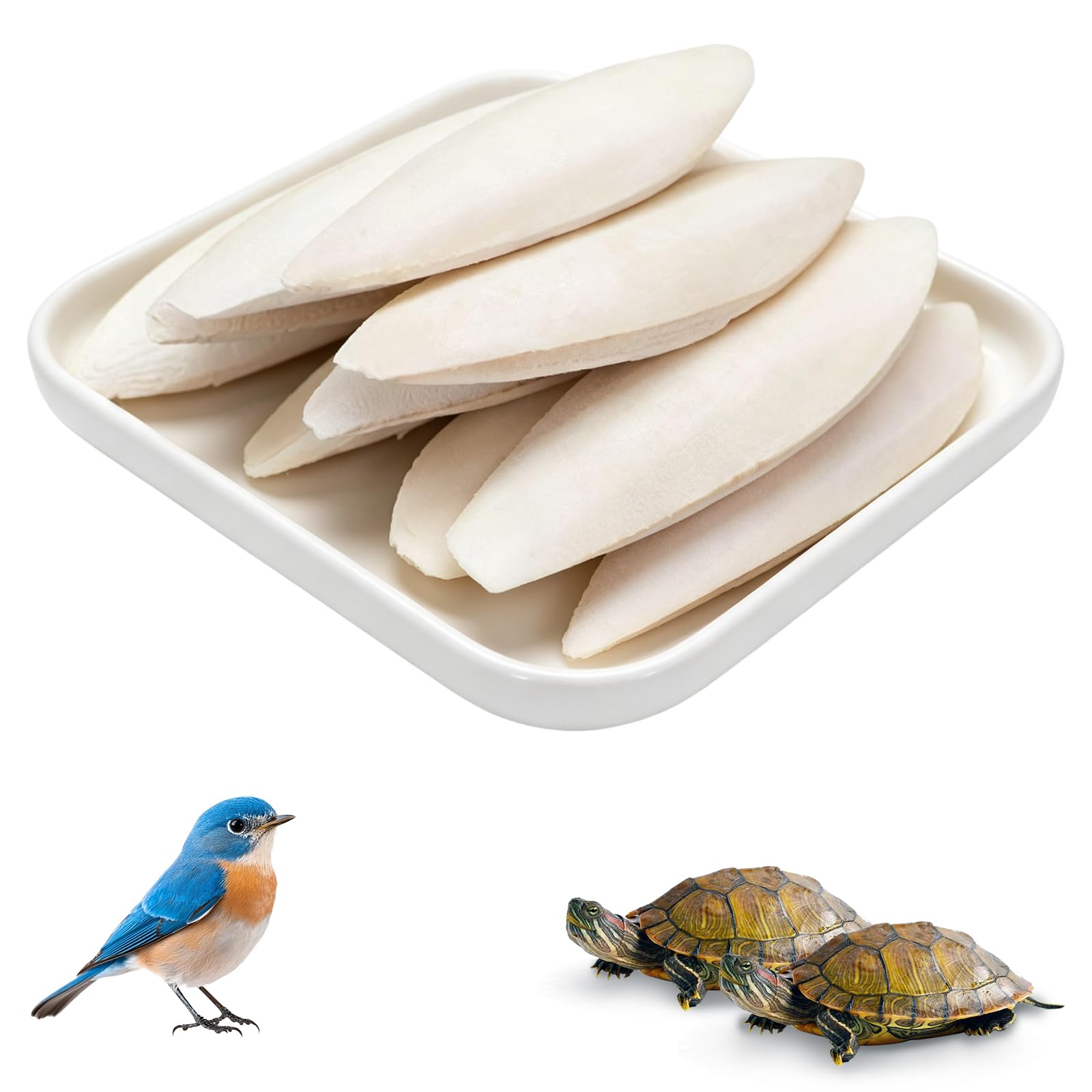TUBAWD 12PCS Cuttlefish Bone, Cuttlefish, Cuttlefish for Birds, Cuttlefish Bone for Tortoise, Essential for Birds and Reptiles