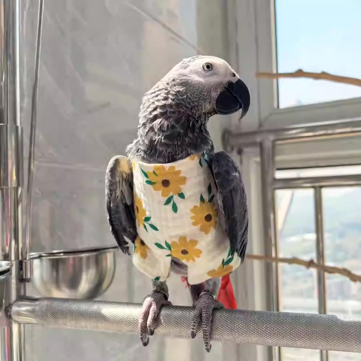 Bird Clothes - Cute Jumpsuit Costume for Parrots African Greys Parakeet Cockatiel Conure Birds Apparel Bird Supplies (B,Sulphur-Crested Cockatoo)