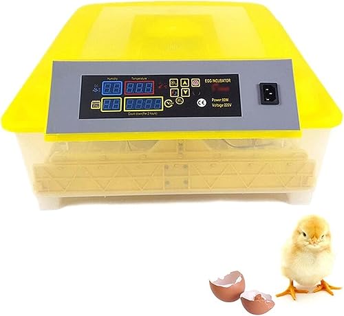 Incubadora automática de 48 huevos con pantalla digital de temperatura y humedad, sistema de alarma para incubar pollos, patos, gansos, pájaros
