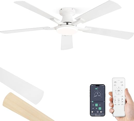 Ceiling Fans