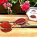Nice Saffron Premium Real Saffron Powder Deep Red (5 Grams)