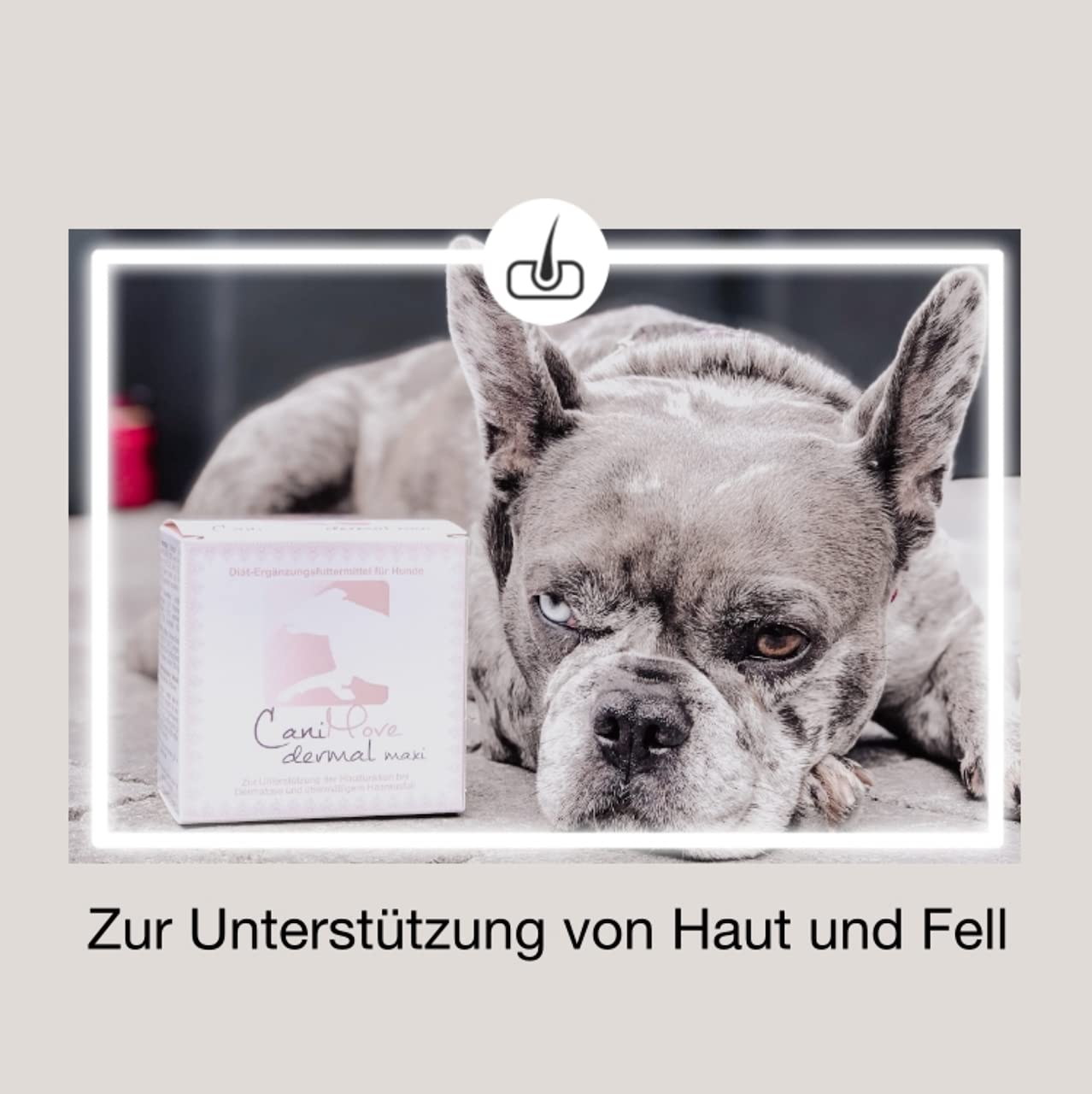 Dreier-Set CaniMove Dermal mini (300 Kapseln), Ergänzungsfuttermittel zur Unterstützung von Hautfunktion, bei Haarausfall, Schuppen und stumpfen Fell