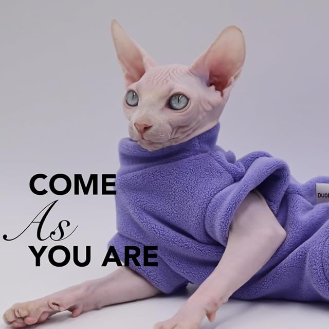 Foto 2 de 8 de Ropa para gatos sin pelo, sudadera gruesa y cálida para otoño e invierno, ropa para Sphynx, Devon Rex