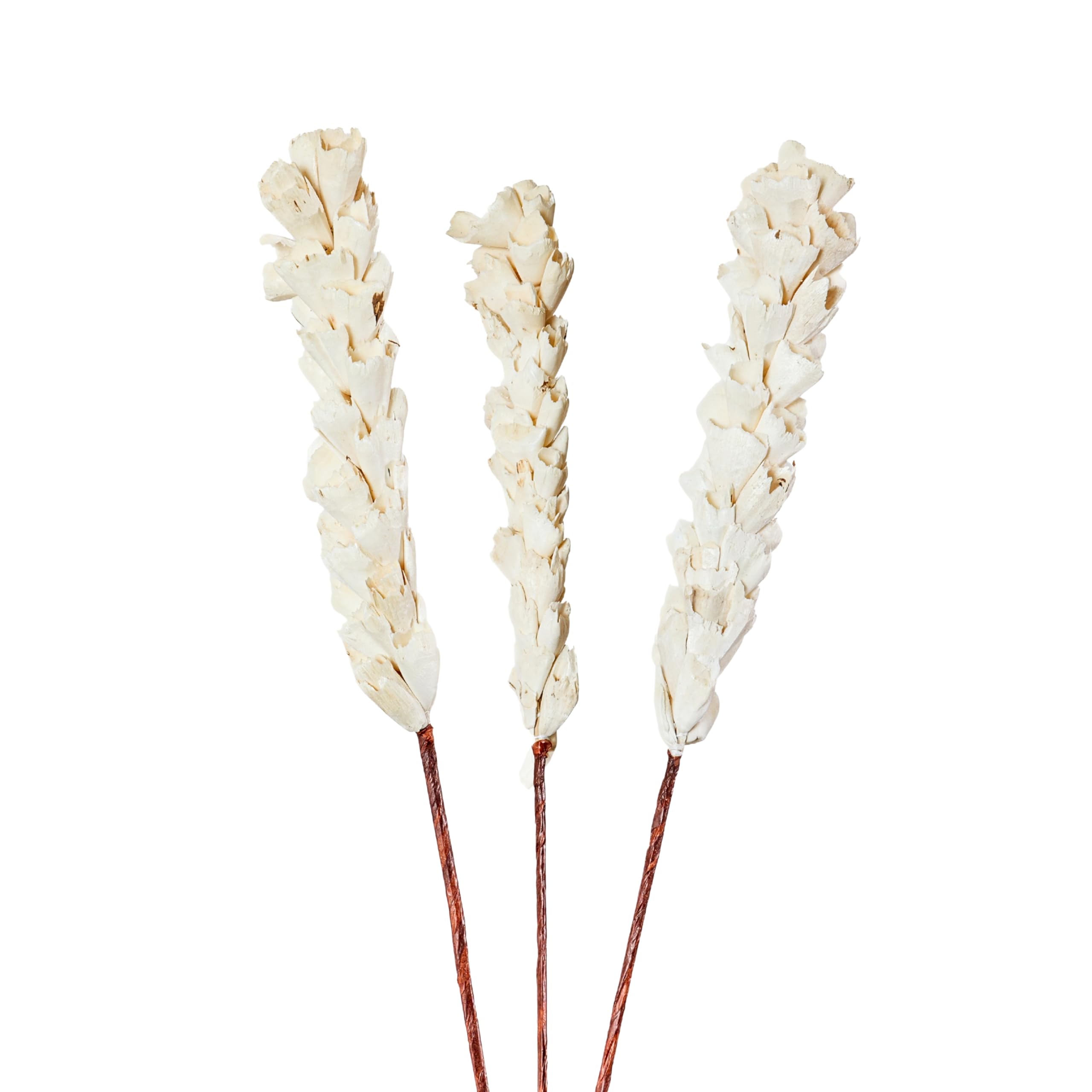 SHINEARIUM 3 Pcs Natural Sola Lily Flower Stems White Eco Friendly Handmade Decorative Flowers for Home Wedding Farmhouse Boho Studio Decor Vase Filler Natural Dried Floral (No Vase)-picture-34