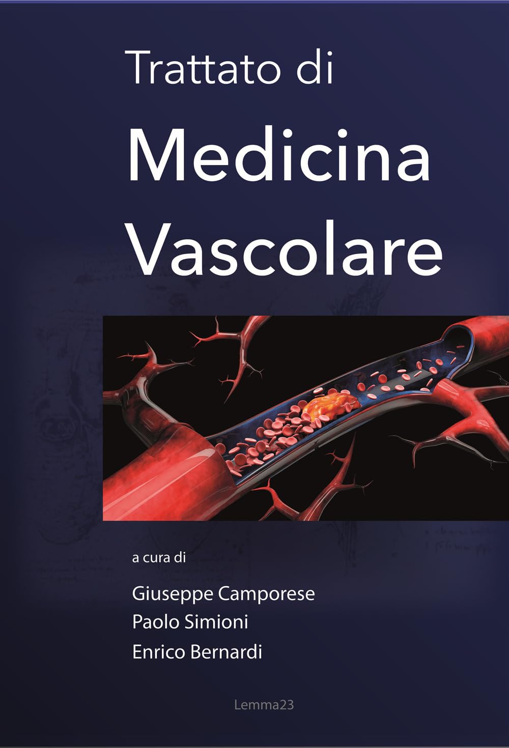 Trattato Di Medicina Vascolare - 4