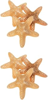 Abaodam 6 Peças Decoração De Estrela Do Mar Natural Artesanato De Praia Decoração De Praia Em Miniatura Concha Casa De Bonecas Decorações De Parede Ornamento Mediterrâneo Suprimentos Para