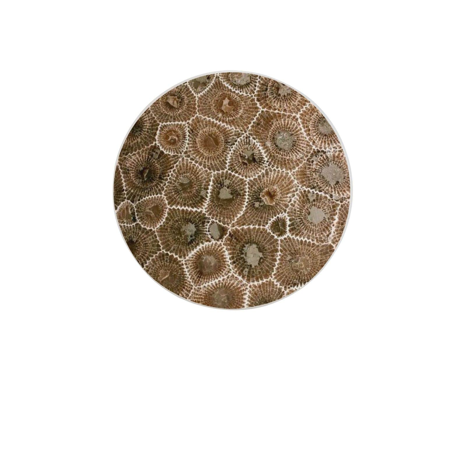 Petoskey Stone Six Piece Coaster Heat-Resistant Reusable Saucers for Drinks Wine Glasses Plants Cups Mugs