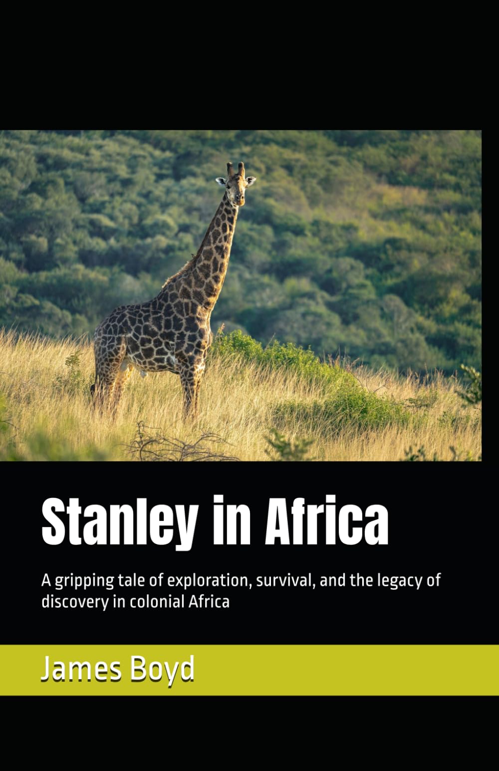 Stanley in Africa: A gripping tale of exploration, survival, and the legacy of discovery in colonial Africa