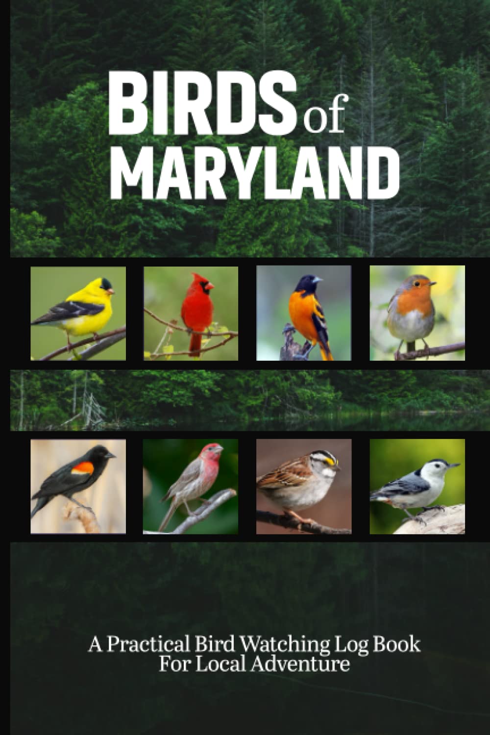 Birds Of Maryland: Bird Watching Logbook For Bird Watcher. Track And Record Birds Activities In This Notebook Journal. Simple Bird Activities ... And Incredible Adventures For Adults & Kids.