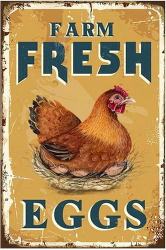 Funny Chicken Sign, Metal Chicken Coop Tin Signs, Farm Fresh Eggs, Yard Sign Gar