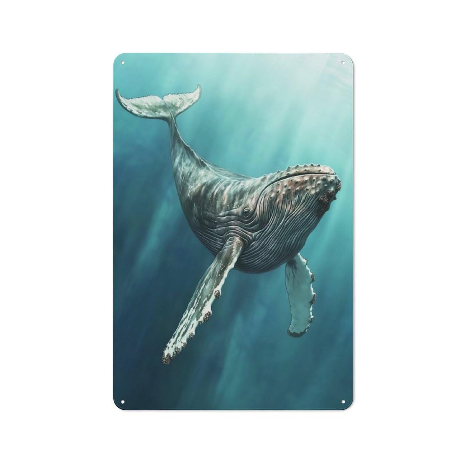 Metal Wall Sign 30x20cm Featuring Majestic Humpback Whale for Garage Or Workshop, Suited to DIY Enthusiasts