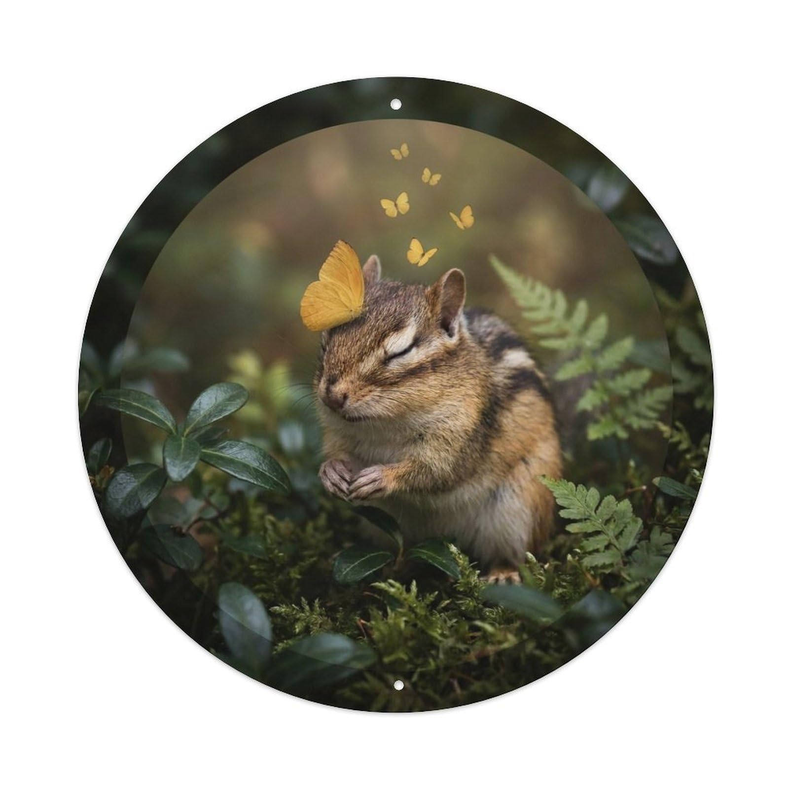 Chipmunk Cute Wildlife Yellow Butterfly Woodland Pastel Kawaii Metal Tin Sign Plaque Wall Decor for Cafe, Man Cave, Club Bar, Office, Home Garden Round Metal Poster 8x8Inch